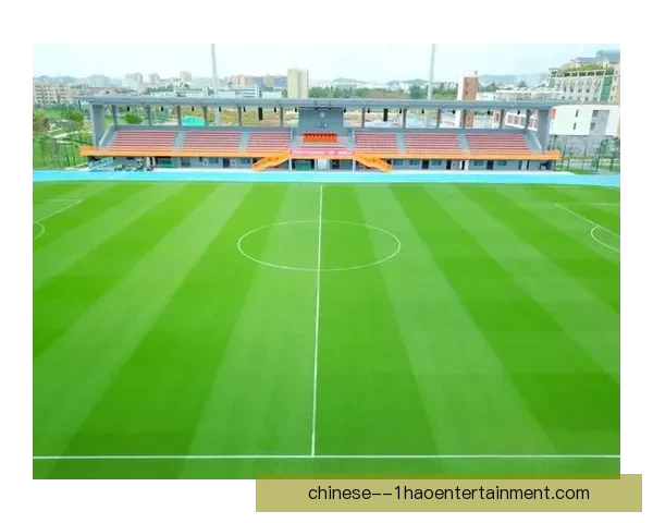 2026世界杯洛杉矶赛区SoFi体育场完成全新草坪升级改造